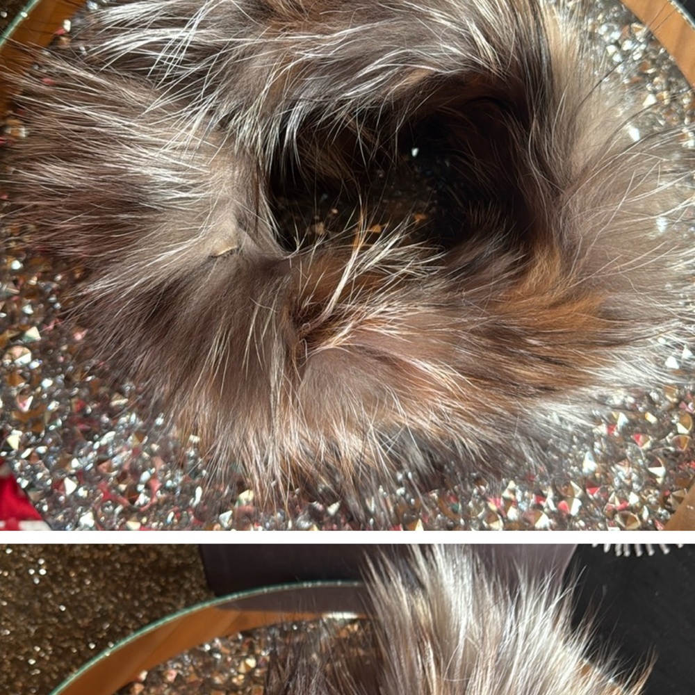 Silver Fox Soft Multi Warm Ivory Fur Head Band or Neck Scarf, 
$129 $347 - Picture 6 of 6